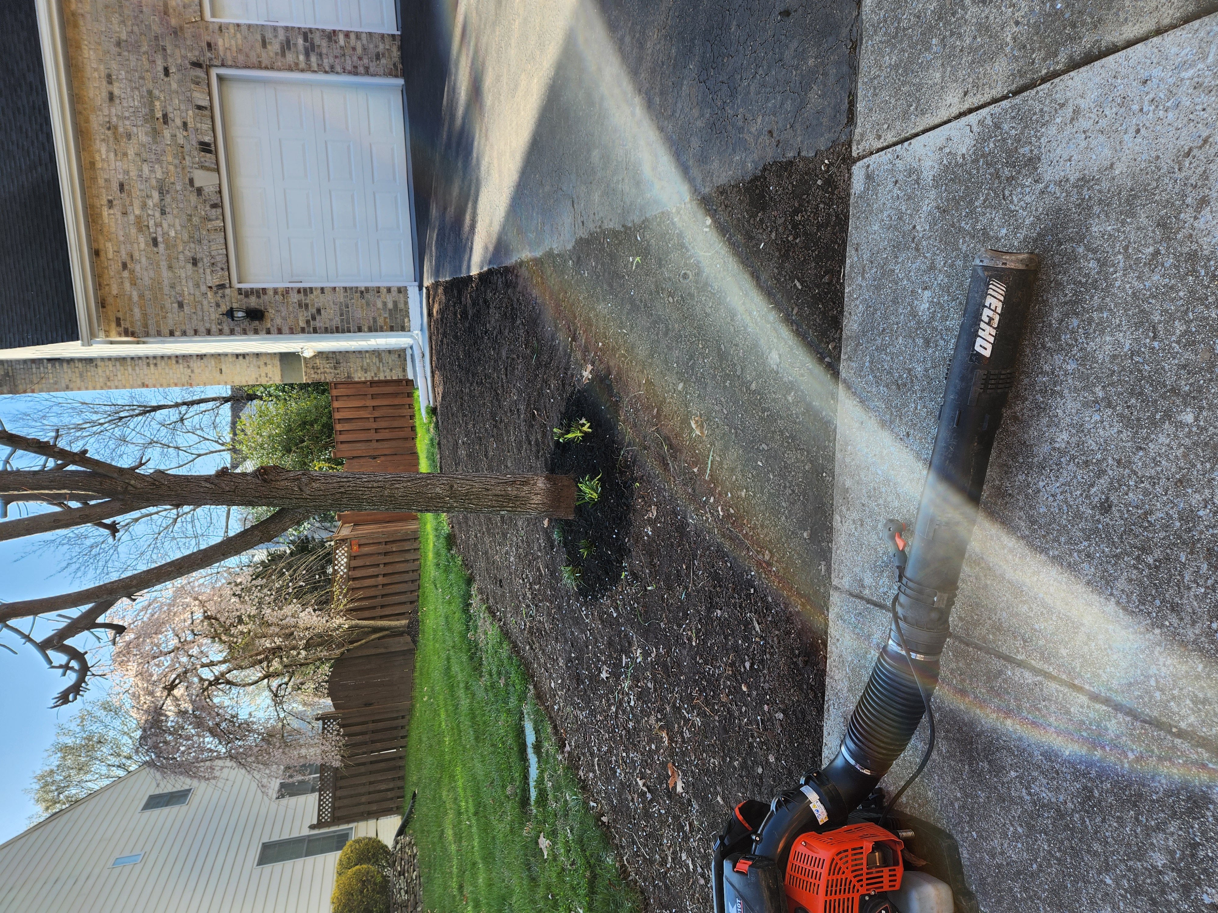 Sod Installation (Before)